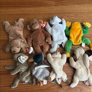 Ty Beanie Babies Collection Stuffed Animal Lot
